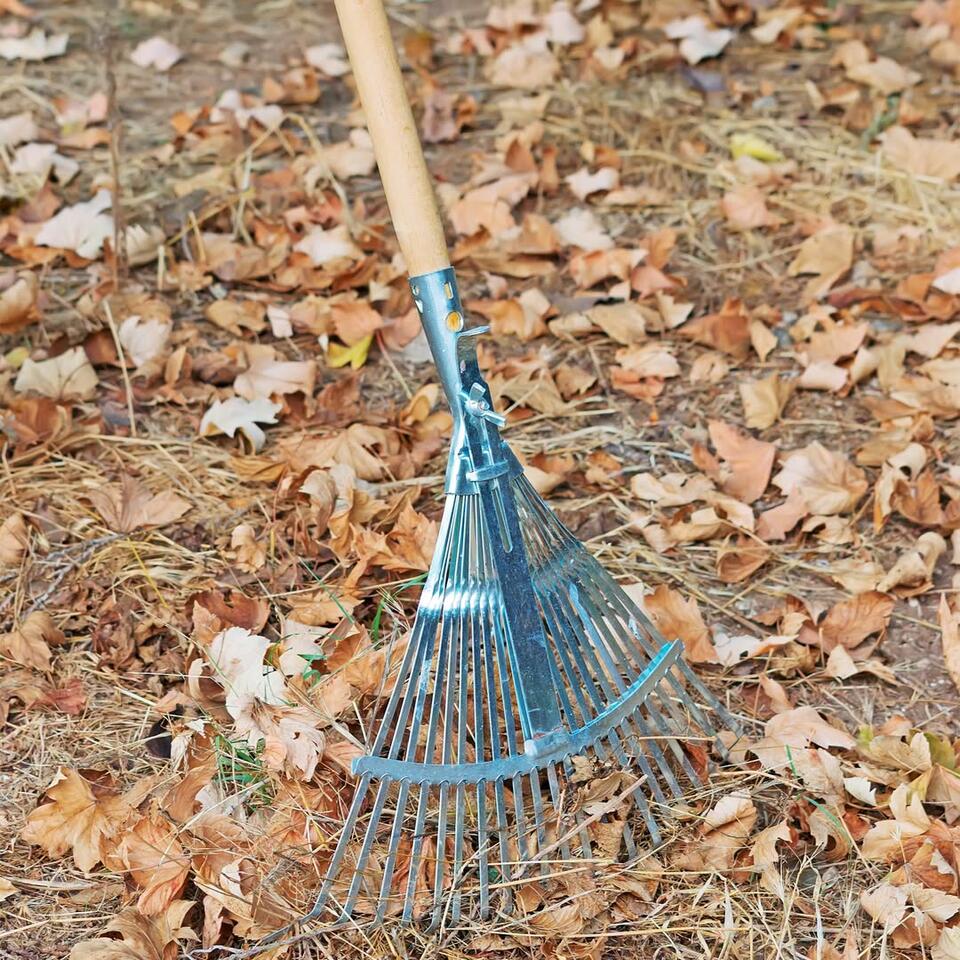 Leaf disposal rules in Otter Tail County - NewsBreak