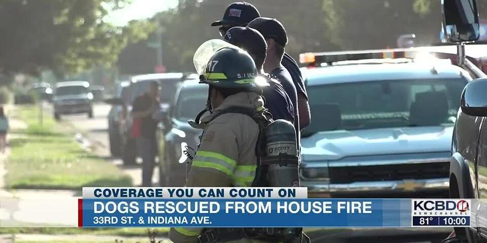 2 dogs rescued from house fire at 33rd & Indiana - NewsBreak