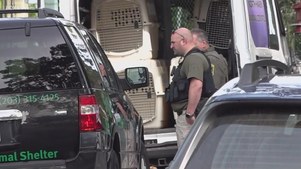 50 animals seized from Watertown home, man charged in animal hoarding ...
