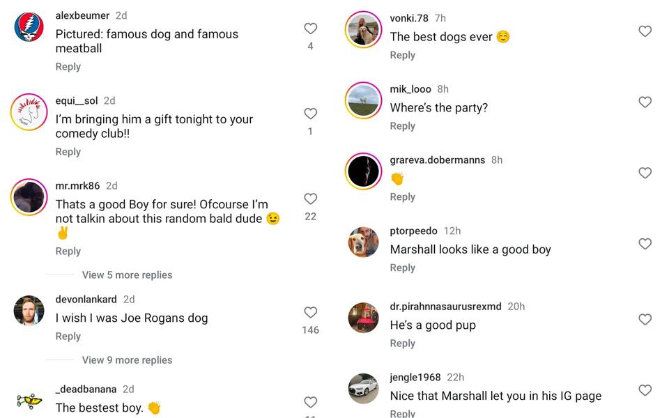 Joe Rogan’s Adorable Snap With His Pet Dog Marshall Mae Melts Fans ...