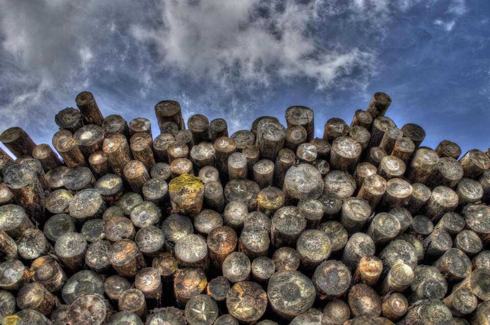 Flathead National Forest Announces Quill Pig Project in Swan Valley ...