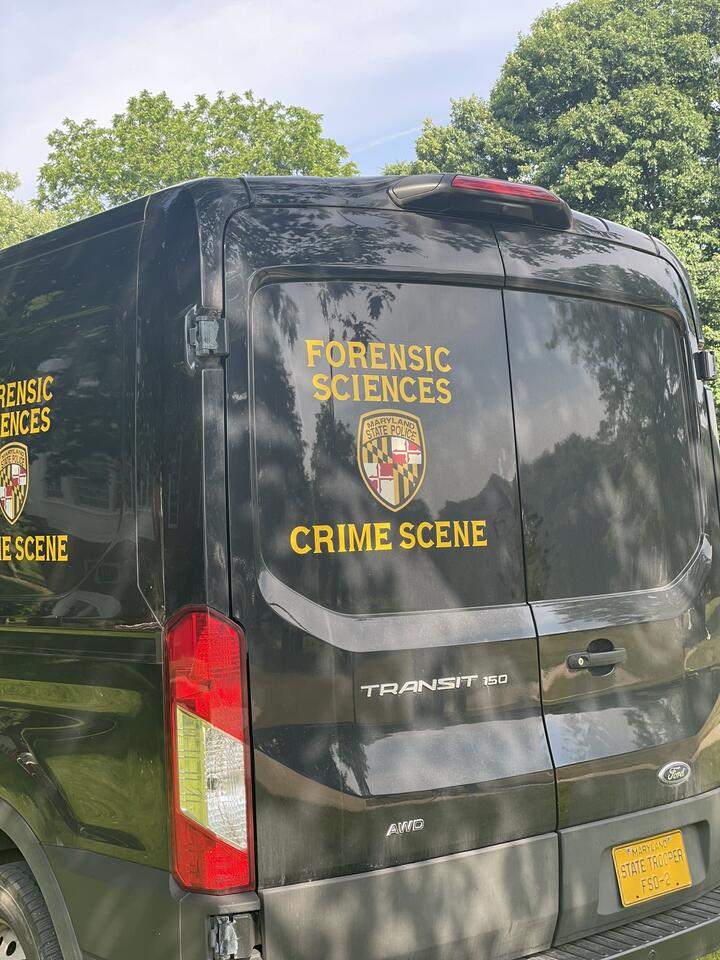 Human skeletal remains found in Maryland woods, investigation underway ...