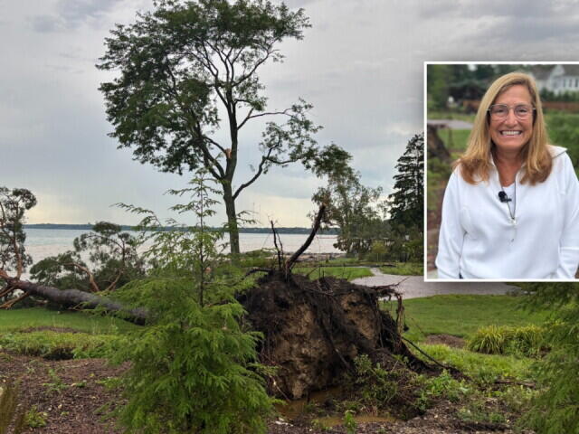 Fox Point residents wake up to toppled decades-old trees after overnight storms