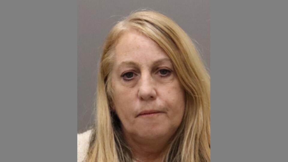 Predicate felon charged with stealing from Boscov's in Greece, police ...
