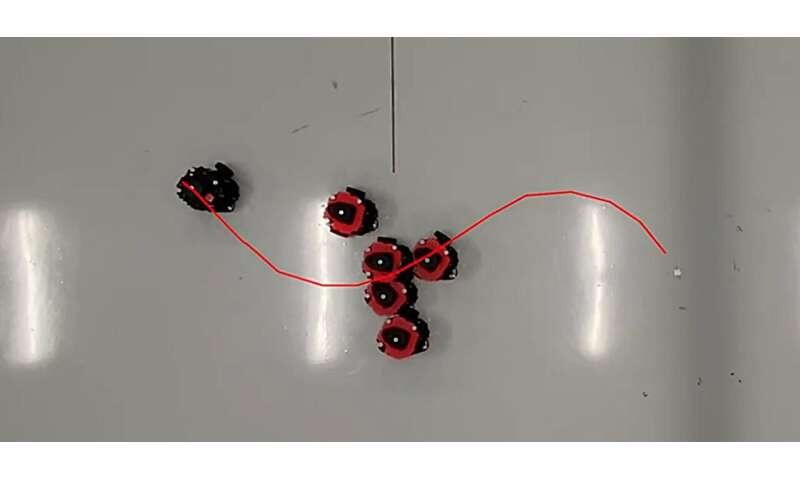 Wheeled, flying and six-legged robots stay on track with new learning ...