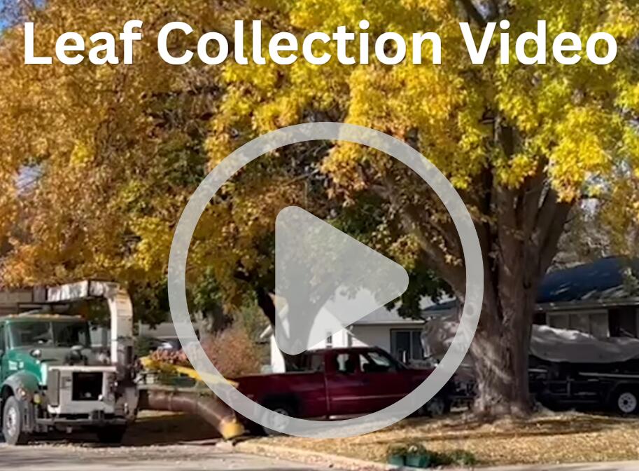 ⚠️ Ripon fall leaf pickup rules and compost site hours - NewsBreak