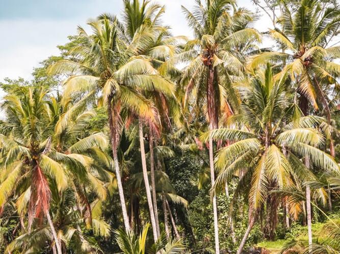 Weather Forecast For Paden City