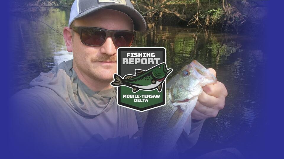 Mobile-Tensaw Delta Fishing Report for October 16 – 22, 2026