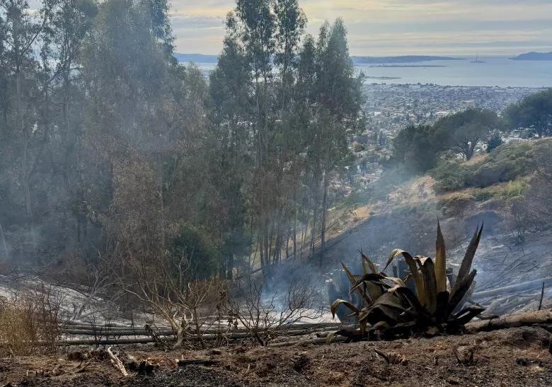 Fire in the Oakland-Berkeley hills draws coordinate response