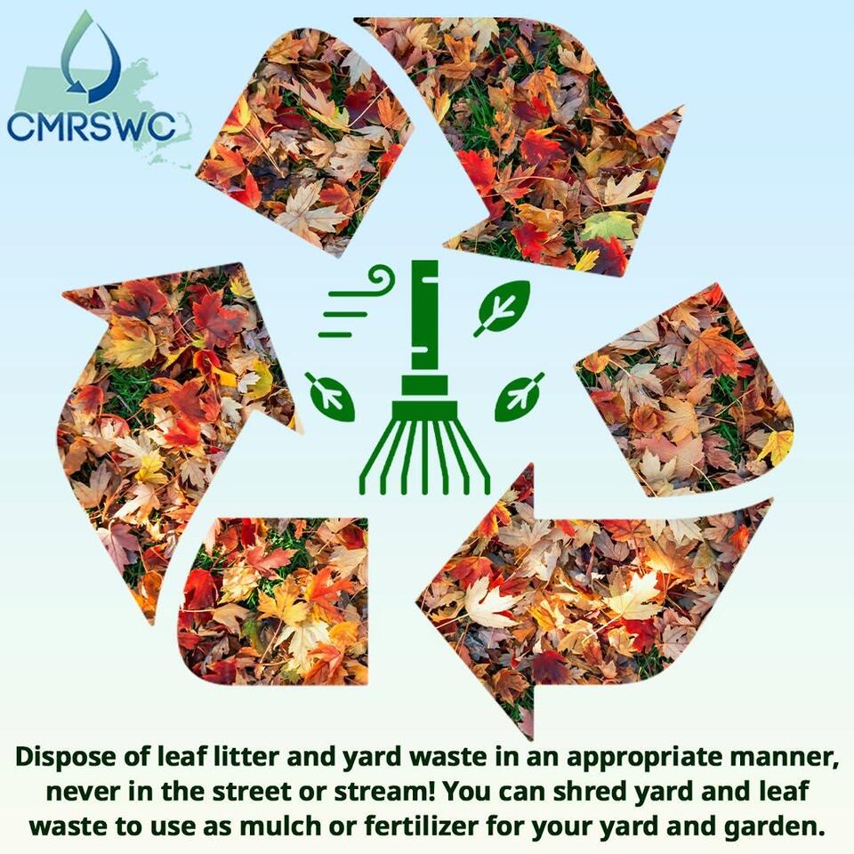 ⚠️ Fall leaf cleanup: keep Sturbridge drains clear - NewsBreak