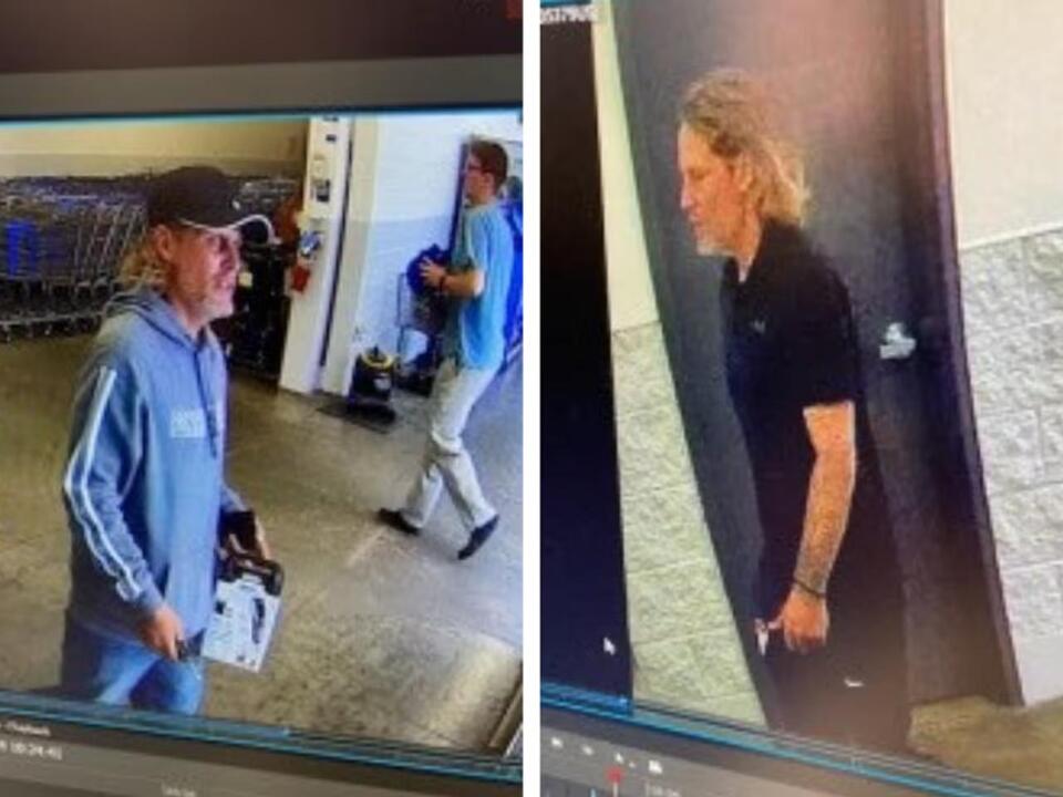 Benevolent Dognapper From Poolesville Let Pup Out To Use Bathroom After