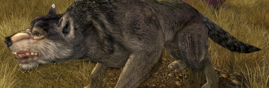 Lord of the Rings Online reveals its ambitious Wolves of Mordor expansion with two new systems
