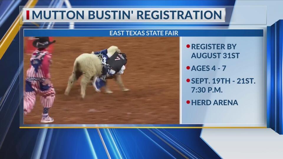 East Texas State Fair adds mutton bustin’ for young rodeo stars - NewsBreak