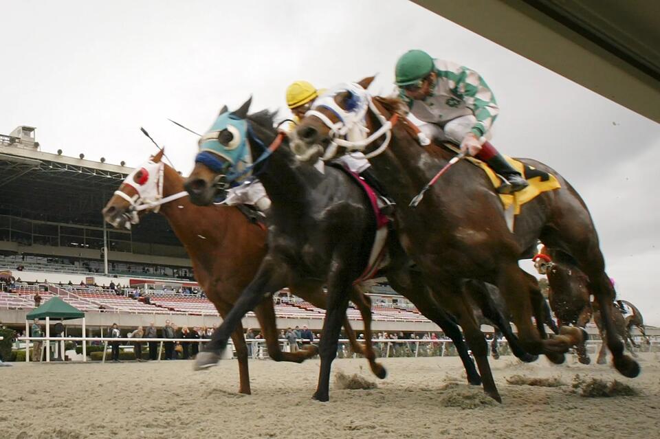 California to Buy Defunct Horse Track and Turn It Into the Bay Area's Newest Public Park