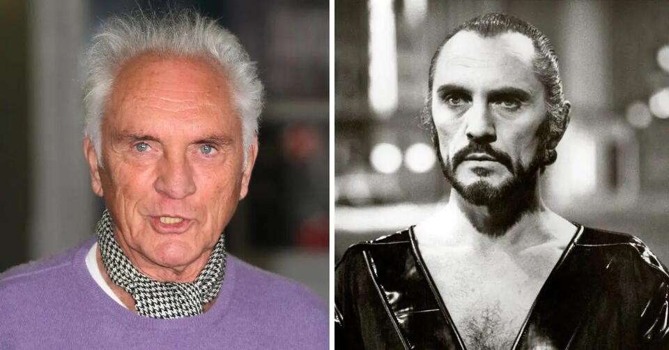 Terence Stamp Dead at 87: Legendary 'Superman' Villain's Family Shares  Emotional Statement Announcing His Death and Honoring His Career — 'He  Leaves Behind An Extraordinary Body of Work' - NewsBreak