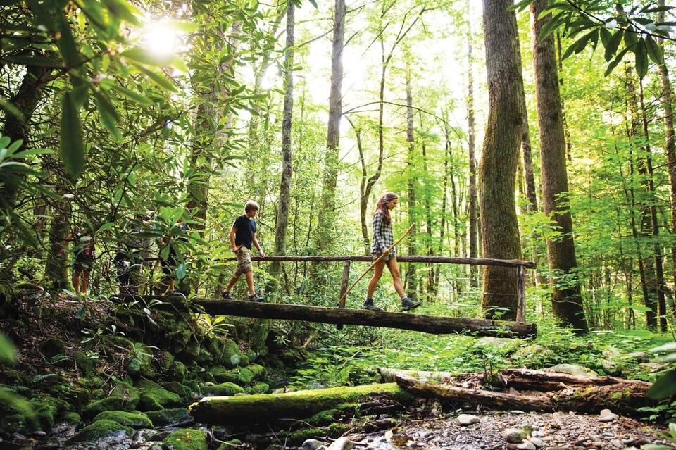 15+ Incredibly Fun Things to Do in Tennessee with Kids - NewsBreak