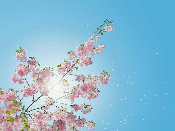 Carrollton Daily Weather Forecast