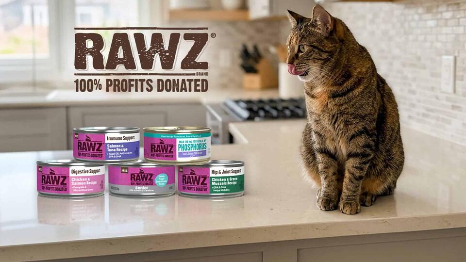 August 2026 Giveaway: RAWZ Solutions Canned Cat Foods