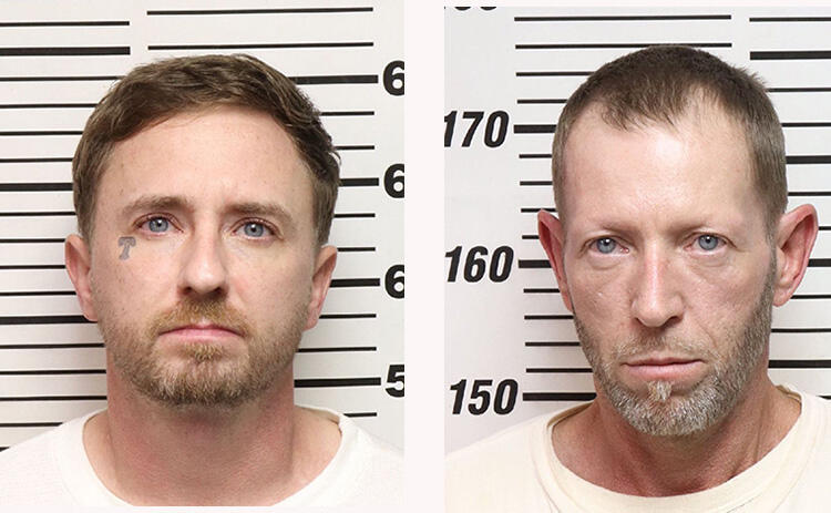 Two Men Sentenced for Stealing Black Walnut Tree from State Forest ...