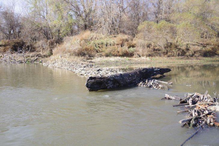 Kenneth Kieser: Catching winter catfish on the Missouri River - NewsBreak