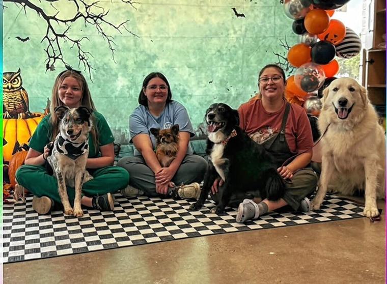 Petsense to hold Fall Adoptathon this weekend - NewsBreak