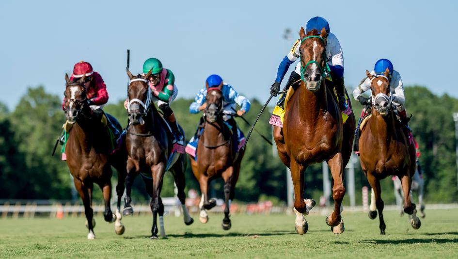 2026 Beverly D. Stakes at a Glance