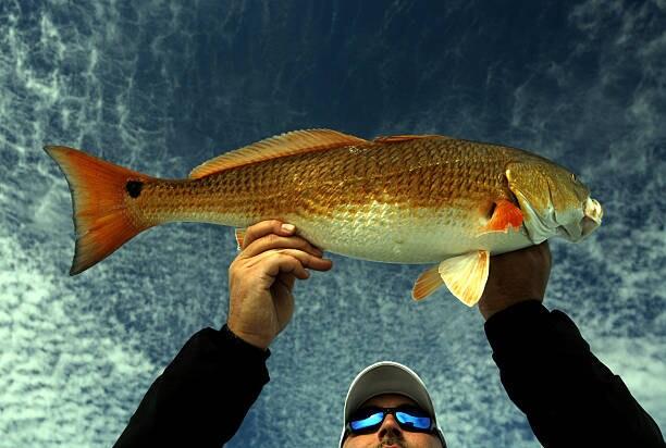 Everything You Need to Know Before Heading to the Cameron Fishing Festival