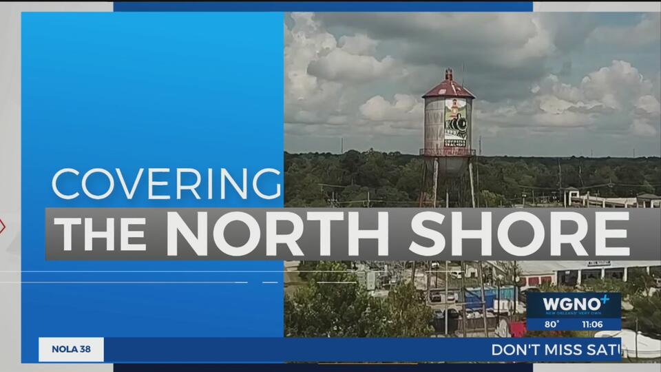 Louisiana man makes video of thousands of termites surrounding him