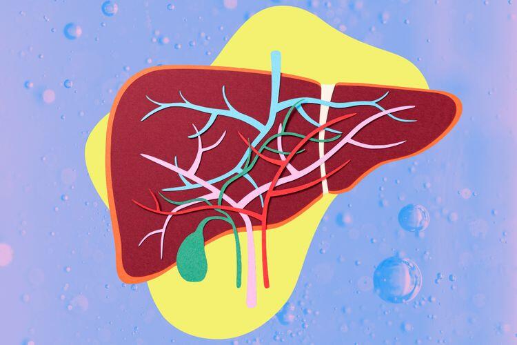 Experts Say This Common Drink May Be Harming Your Liver - NewsBreak