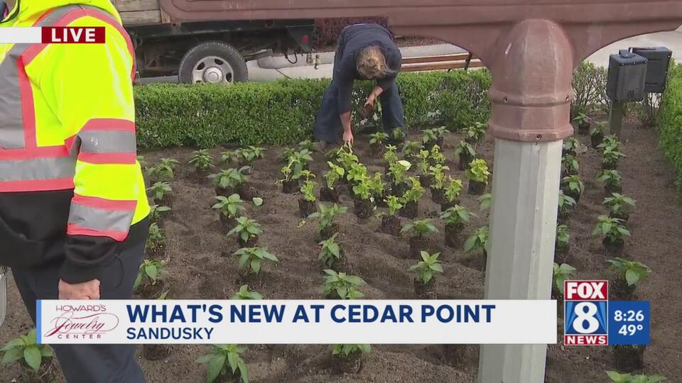 Cedar Point confirms metal piece fell from roller coaster after guest ...