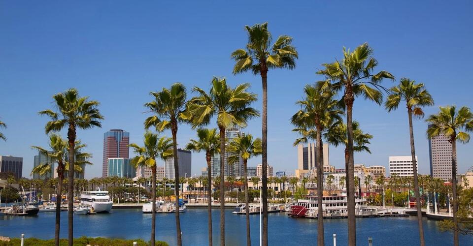 Long Beach, Calif., Names an Acting Technology Director - NewsBreak