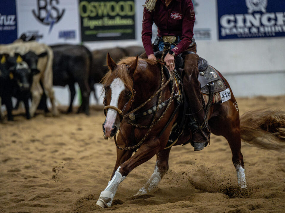 2024 Mars Hackamore Classic Photo Dump
