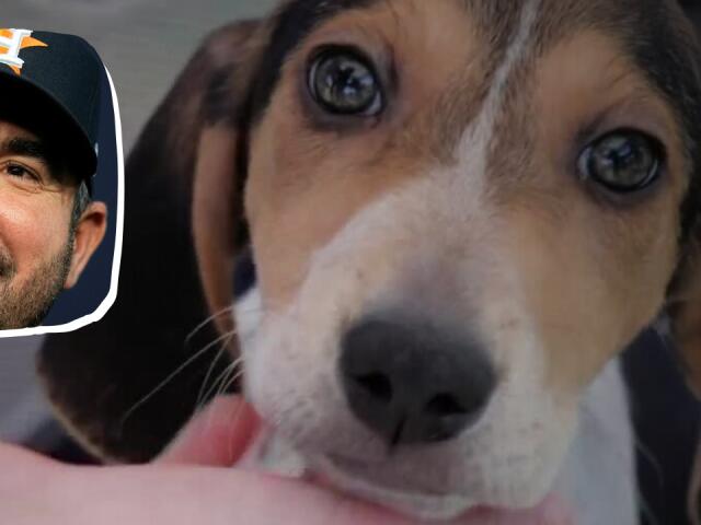 Justin Verlander's parents make storybook ending come true in Virginia ...
