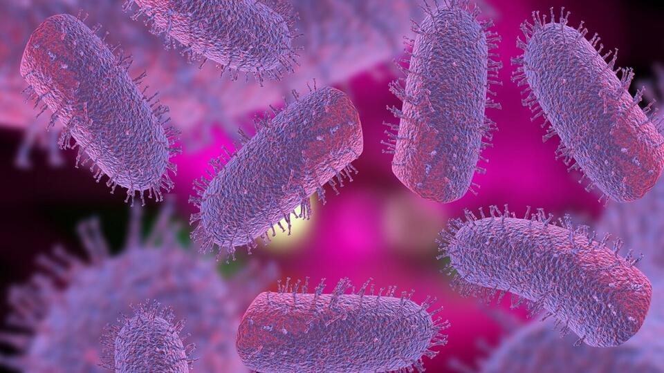 Rabies vaccine to be distributed via air drops across Georgia - NewsBreak