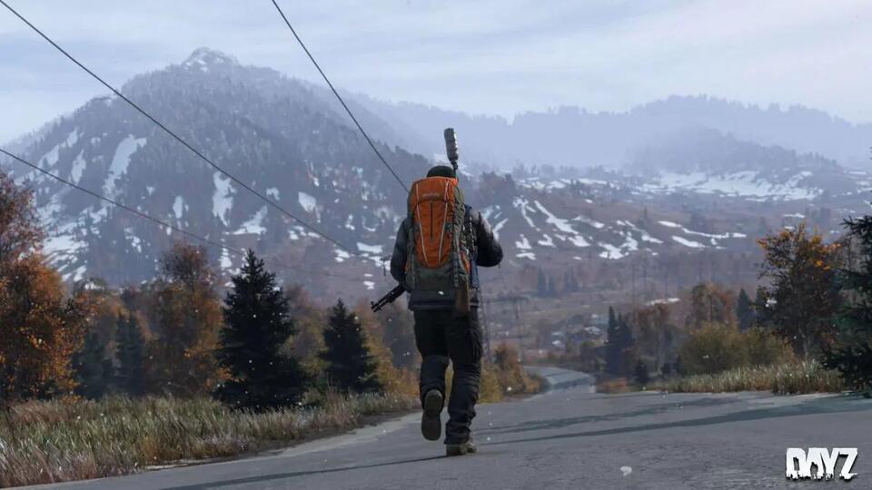 DayZ Players Share Their Wildest - 38CqPA 12ZZqoMH00