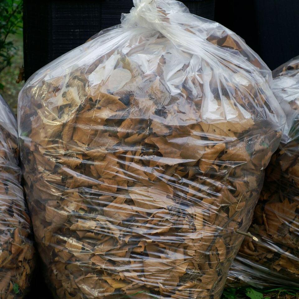 ⚠️ 2026 Millcreek fall leaf pickup weeks and rules - NewsBreak