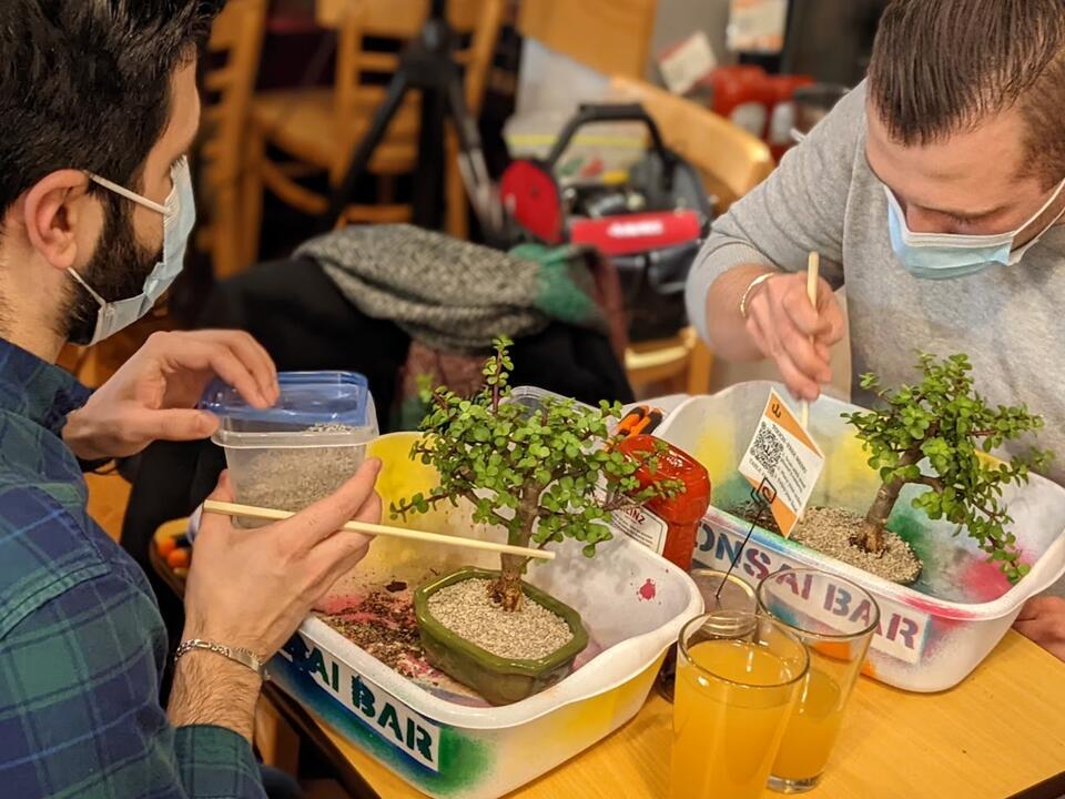 What's a Bonsai Bar & Where in Massachusetts Can You Find One? Dianna