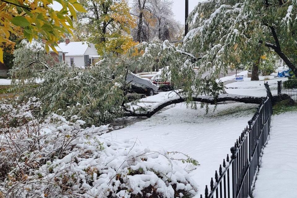 Central Montana Gets Pounded By Early Season Storm, 16 Inches Of Snow ...
