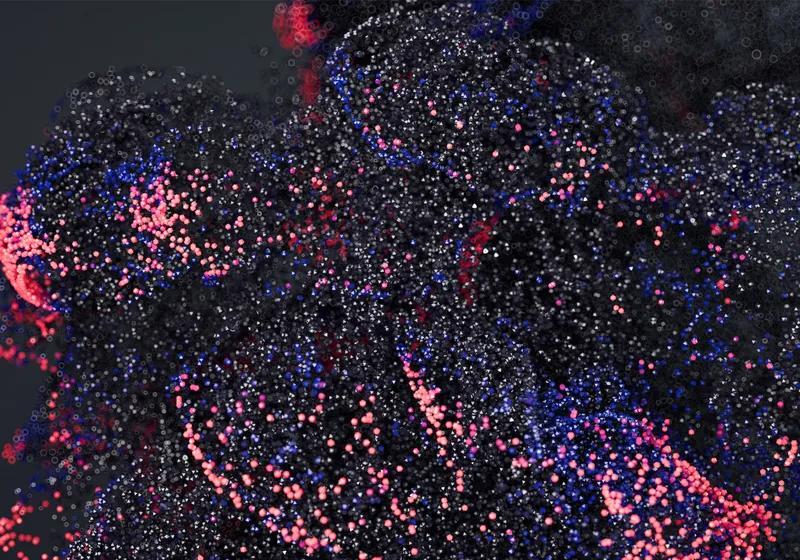 From Molecules to Models: Advancing Transcriptome Analysis - NewsBreak