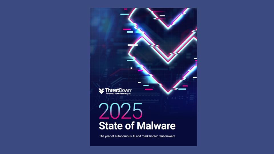 2025 ThreatDown State of Malware - NewsBreak
