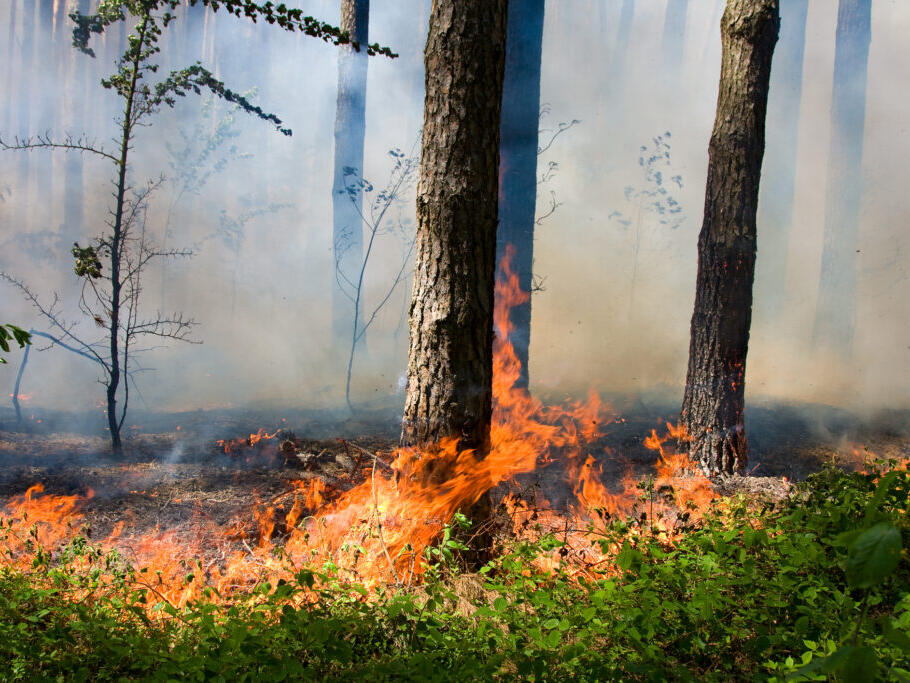 Jackson fire contained, so why is there thick smoke in the air still?