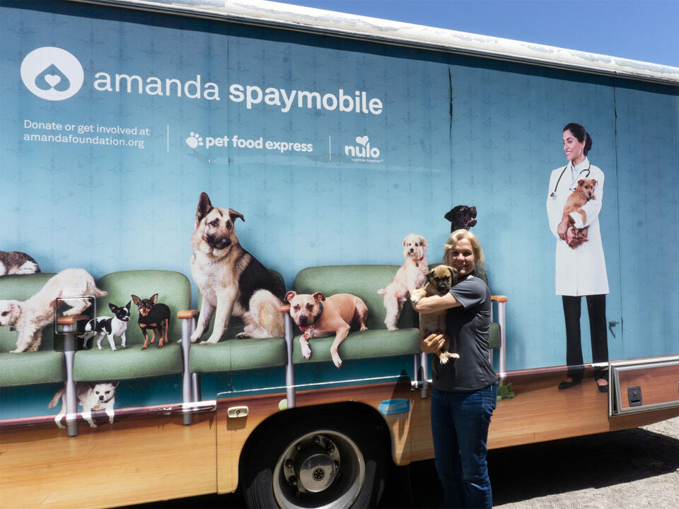 Amanda Foundation Remains Optimistic Amidst Current Crisis - NewsBreak