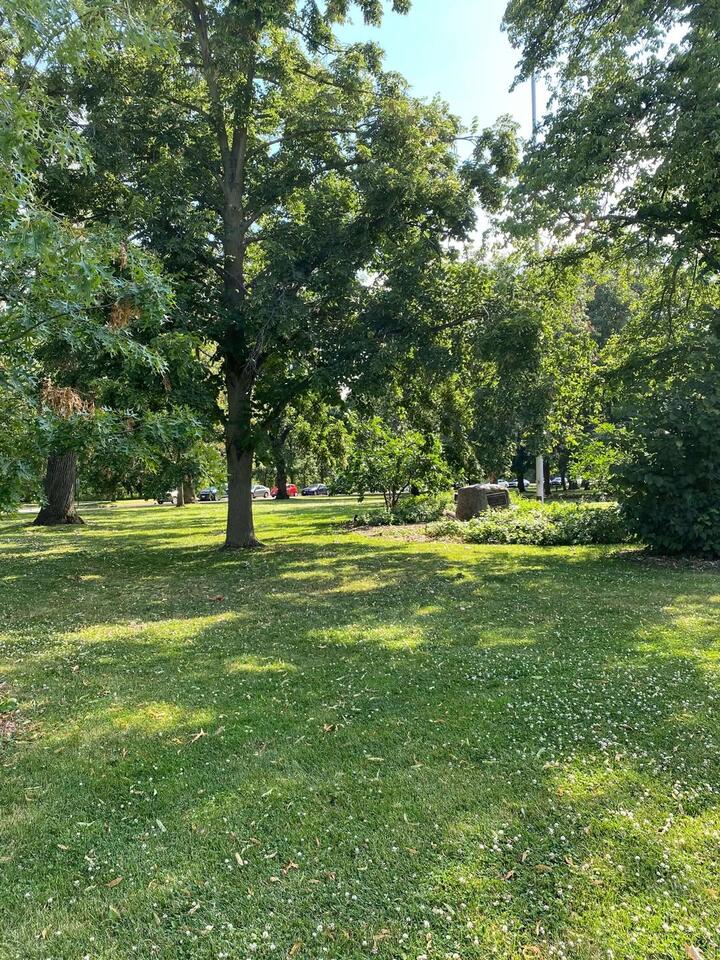 Tree Removal Permits Now Required in Riverside - NewsBreak