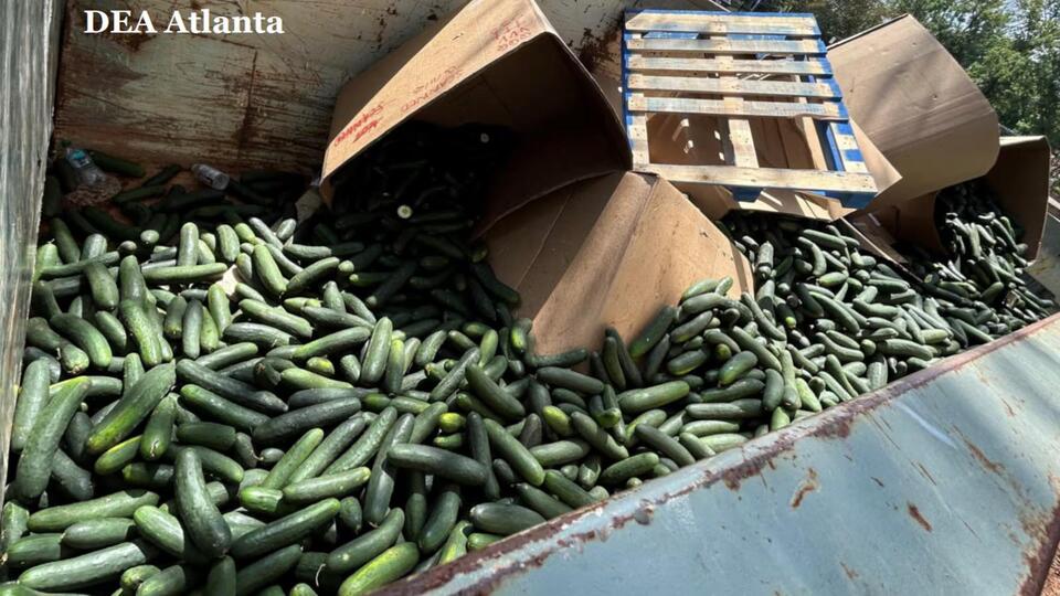 Two men accused of hiding 700 pounds of meth inside cucumber boxes sentenced to prison