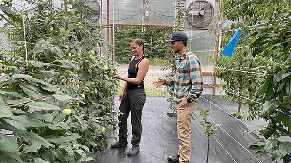 Alaska family grows fruit trees, vegetables with protected growing ...