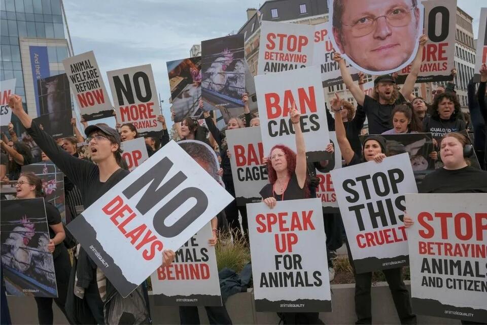 Over 300 activists protest in Brussels as European Union stalls on ...