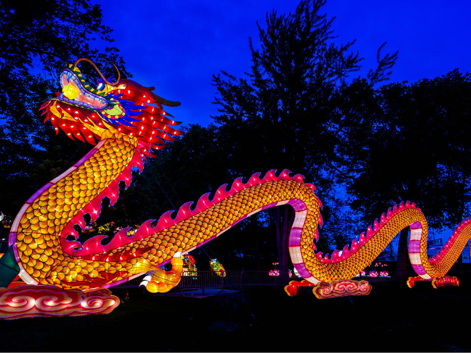 What to Eat at the Chinese Lantern Festival in Franklin Square