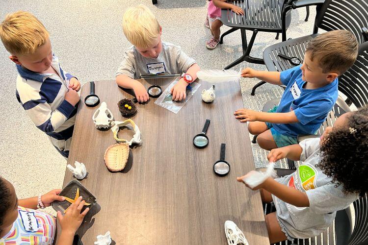 Summer abounds with learning opportunities