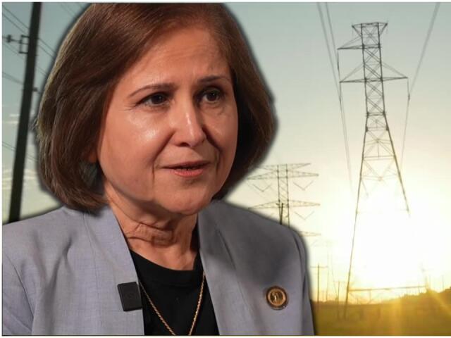 Virginia Lt. Gov. Hashmi to host Richmond energy costs listening tour