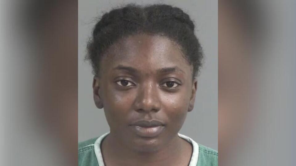 School bus driver accused of DUI, evading police, using child as ...